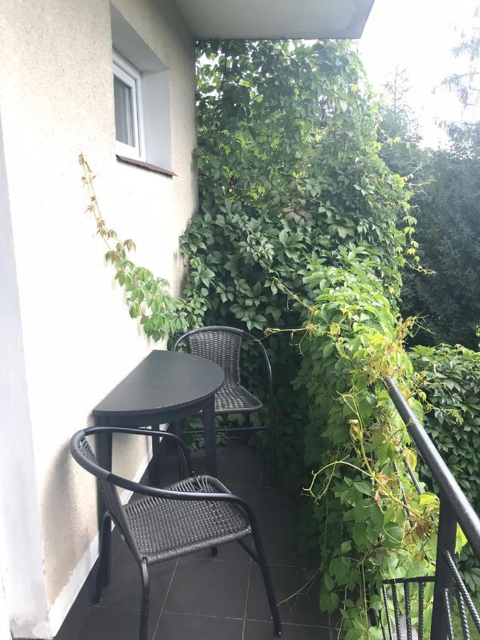 Noclegi Nad Potokiem Czarna  Exterior photo